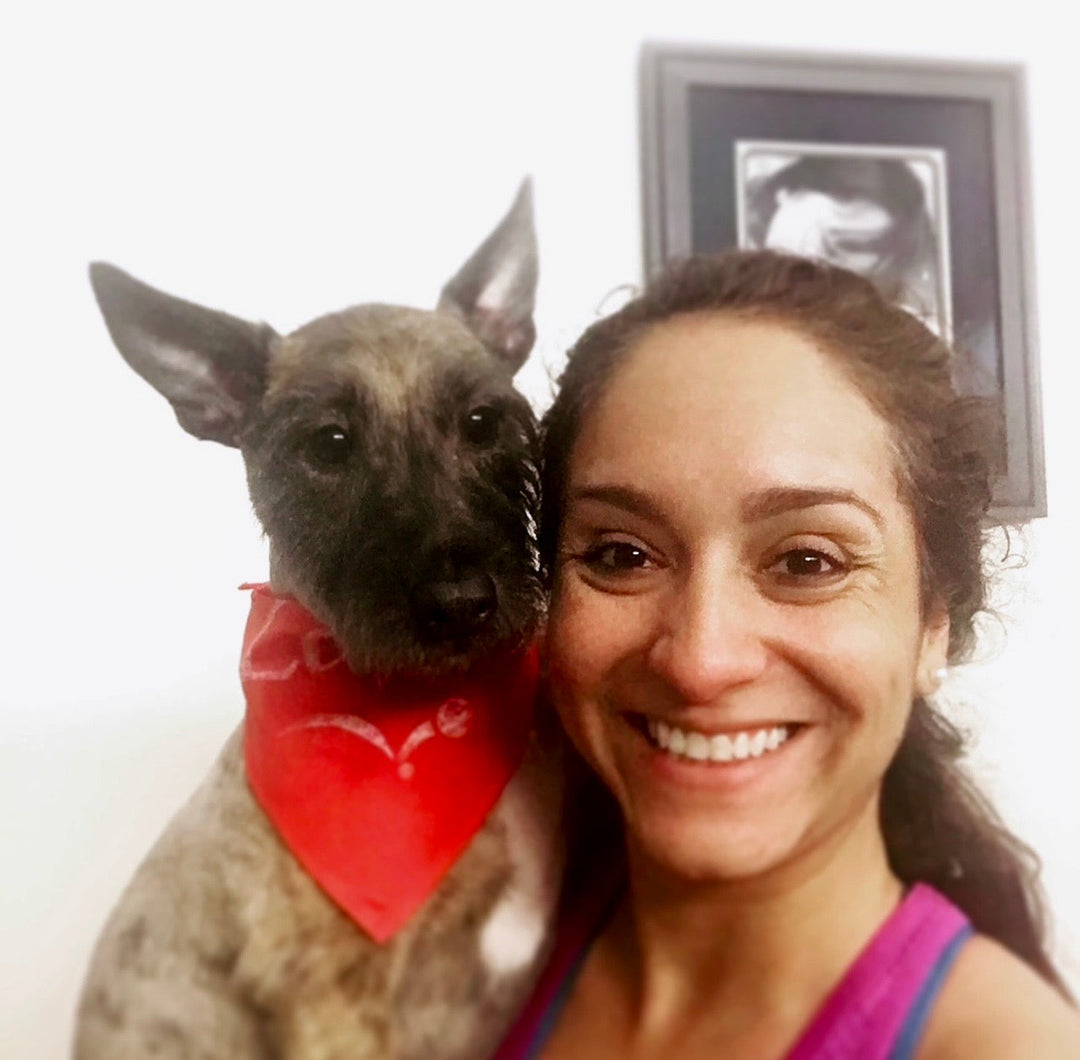 One Year of Tobsters: A Look Back and a Thank You