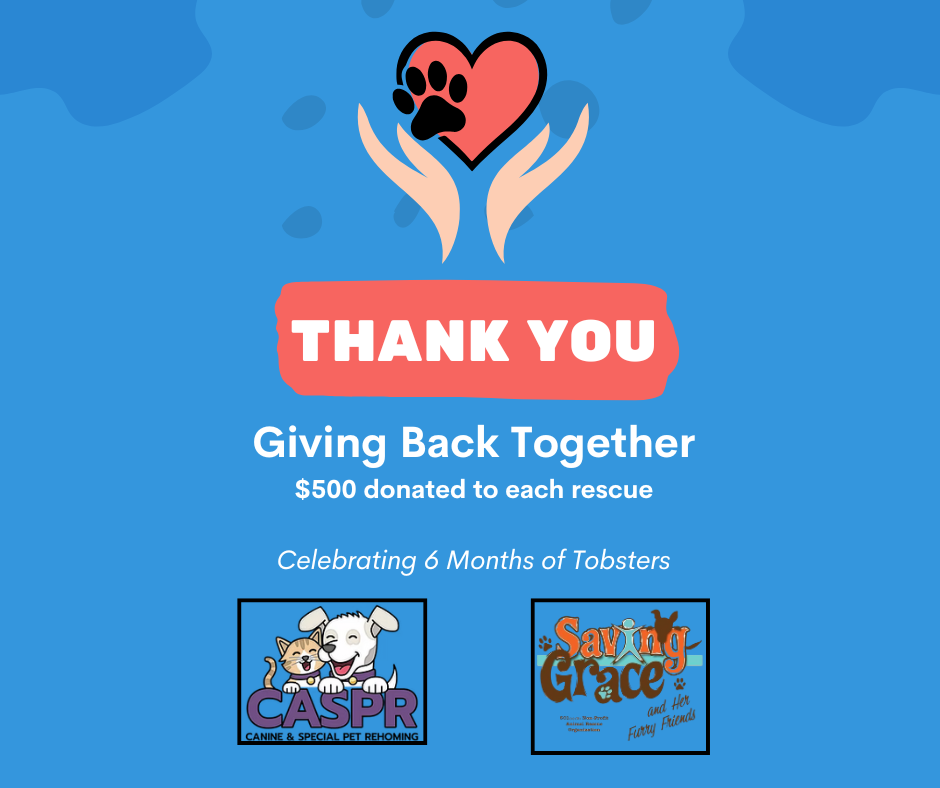 Six Months of Tobsters: A Heartfelt Thank You 🐾💛