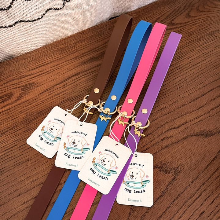 Modern Waterproof Dog Leash | Biothane with Brass Hardware
