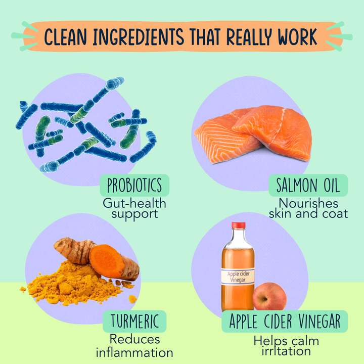 No More Itchin' - Allergy & Immune Supplement - 120 Chews