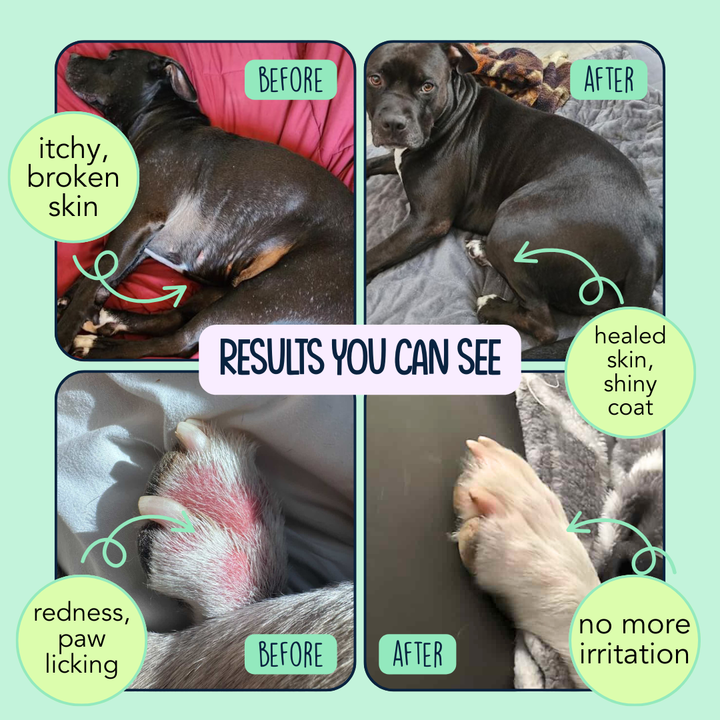 No More Itchin' - Allergy & Immune Supplement - 120 Chews