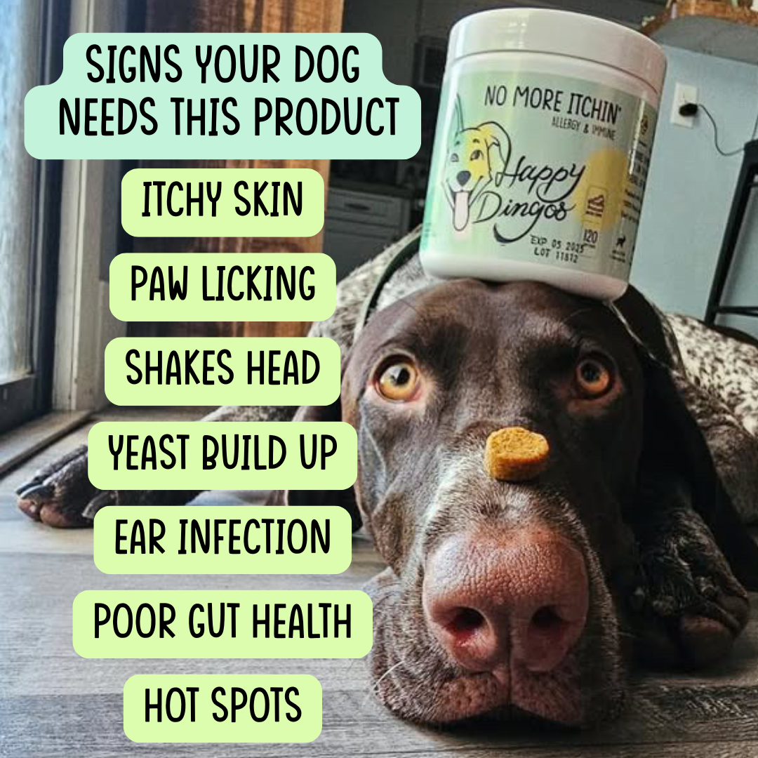 No More Itchin' - Allergy & Immune Supplement - 120 Chews