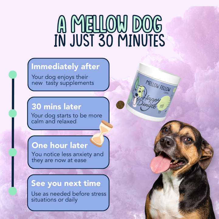 Mellow Fellow - Calming Supplement for Dogs - 120 Chew