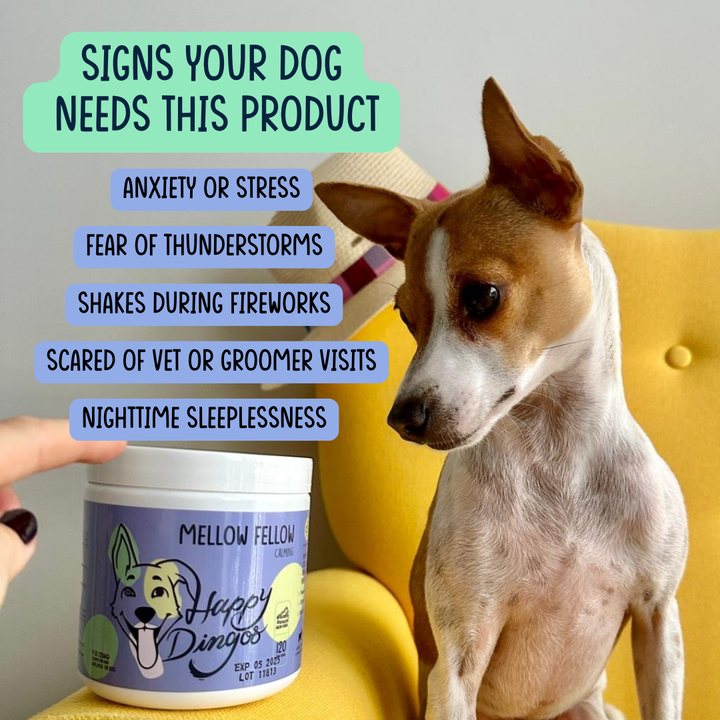 Mellow Fellow - Calming Supplement for Dogs - 120 Chew