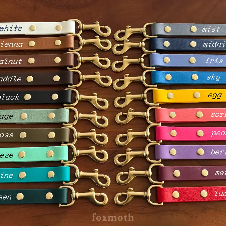 Modern Waterproof Dog Leash | Biothane with Brass Hardware