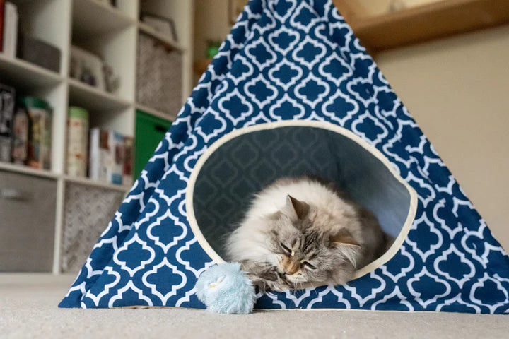 Cat inside teepee playing with Feline Frenzy Balls of Furry plush toy ball with feathers