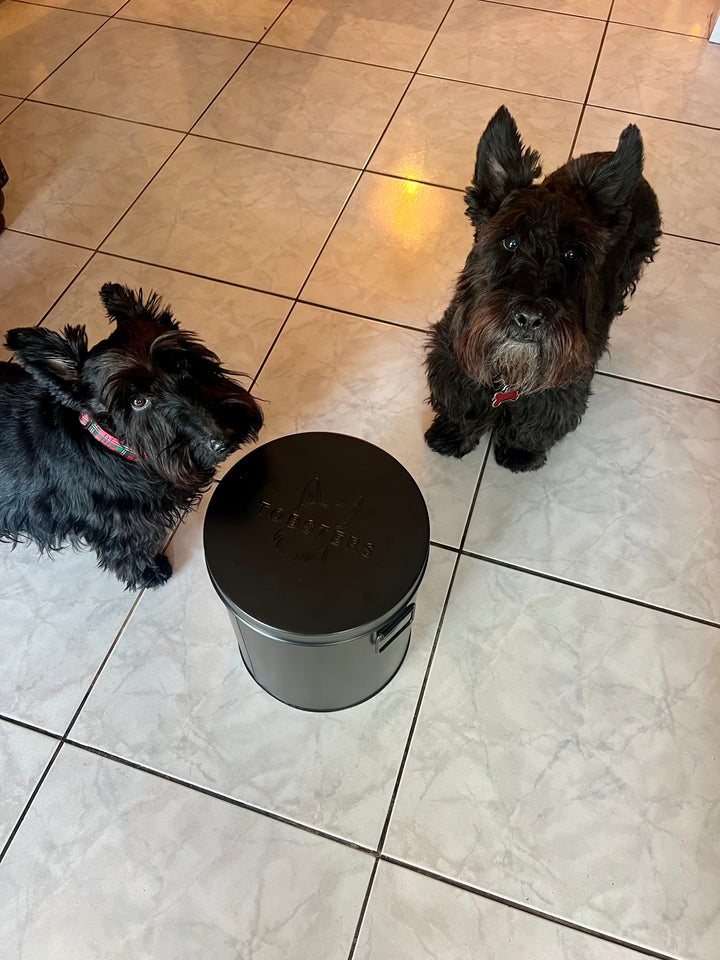 Two black dogs sitting on a tiled floor with a Tobsters black bin.