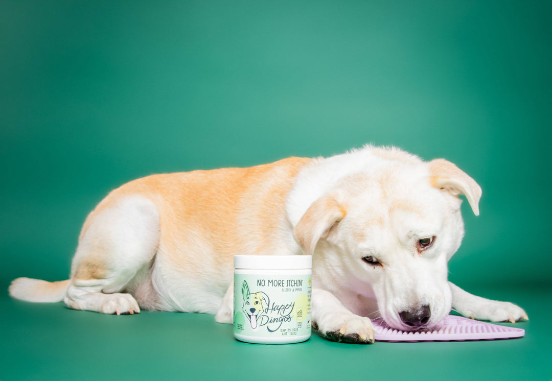 Dog licking a Calming Lick Mat topped with Happy Dingos supplement, BPA-free silicone enrichment mat promoting relaxation and oral health.