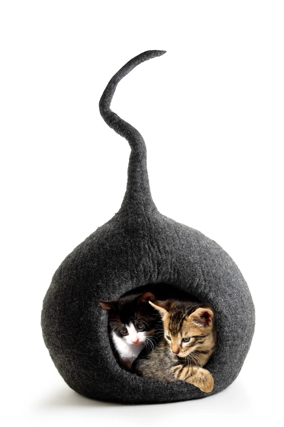 Two kittens inside a handmade dark grey wool cat cave bed by CBC Pet, eco-friendly cat supplies