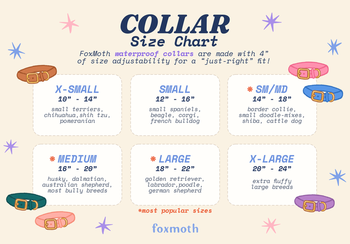 Poster showing dog collar size chart with measurements and suggested dog breeds for each size, part of the modern waterproof Biothane collar collection.