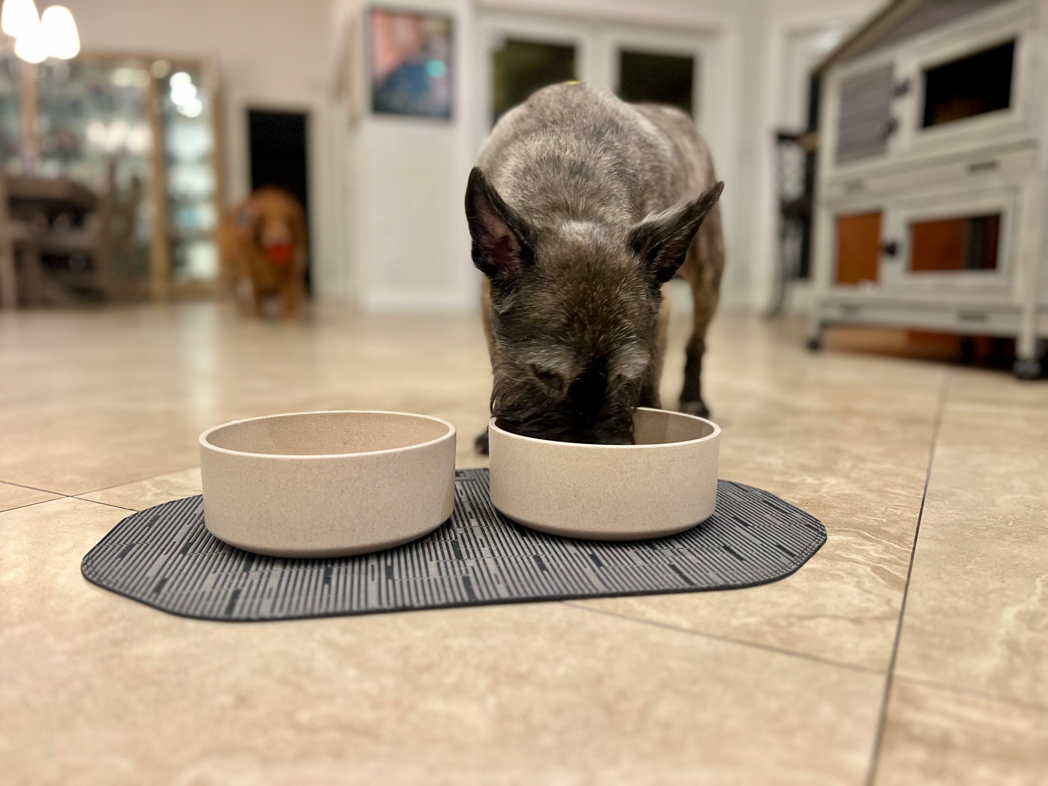 Dog eating from beige bamboo bowls