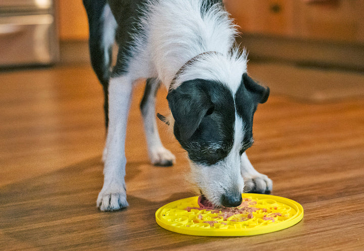 Dog licking yellow ZoomieRex EverLick Mat by Pet P.L.A.Y. in living room, durable lick mat for dogs
