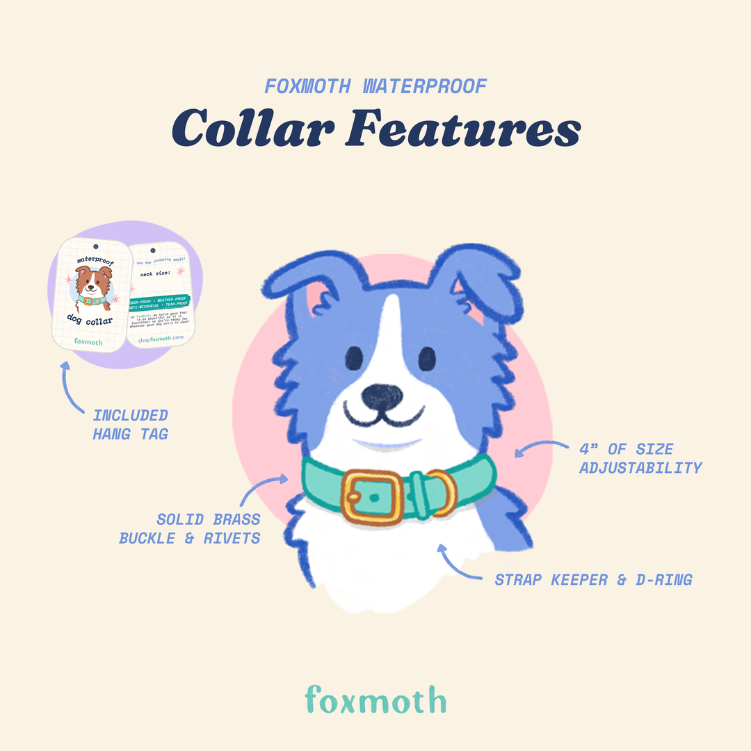 FoxMoth cartoon dog logo with collar size adjustability chart and product details for modern waterproof Biothane dog collars with brass hardware.