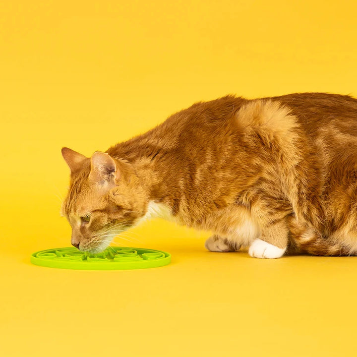 Orange cat smelling green ZoomieRex EverLick Mat by Pet P.L.A.Y. on yellow background, side view