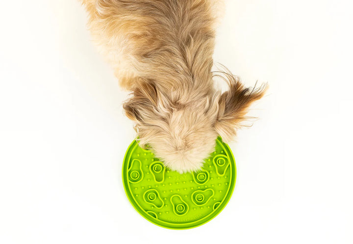 Top view of dog licking peanut butter from green ZoomieRex EverLick Mat by Pet P.L.A.Y.