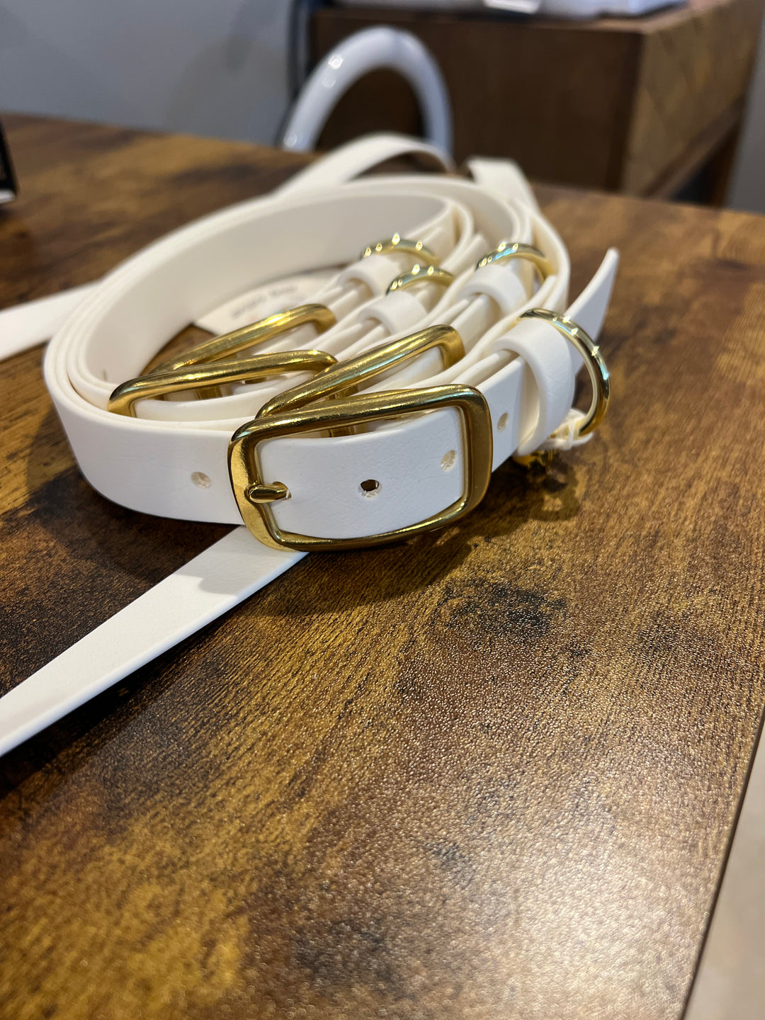 Modern Waterproof Dog Collar | Durable Biothane with Brass Hardware by Fox Moth