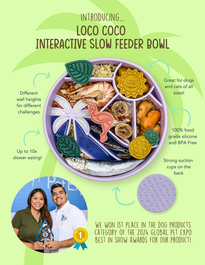 Poster featuring the Purple Loco Coco Interactive Slow Feeder Dog Bowl with product highlights, and founders receiving Global Pet Expo 2024 Best in Show Award.