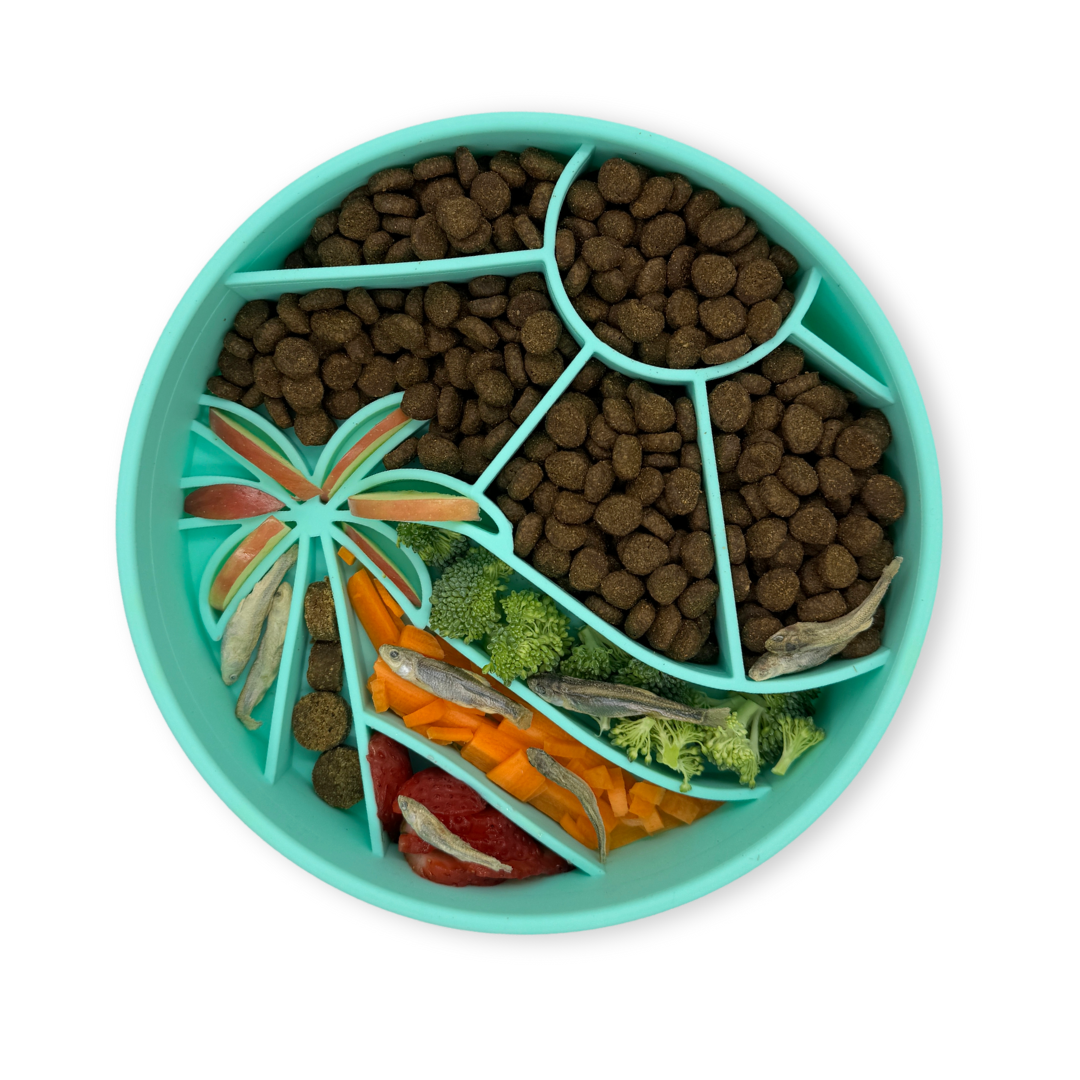 Seafoam Loco Coco Slow Feeder Dog Bowl filled with food, showing suction base and playful design to slow down eating.