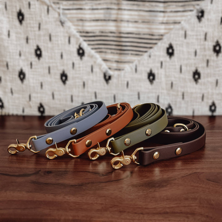 Four rolled waterproof Biothane signature dog leashes in blue, sienna, sage, and dark brown, each with solid brass hardware.