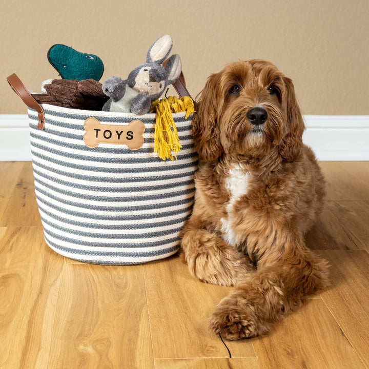Dog lying next to Sienna Toy Basket filled with toys – organic cotton rope storage bin for pets