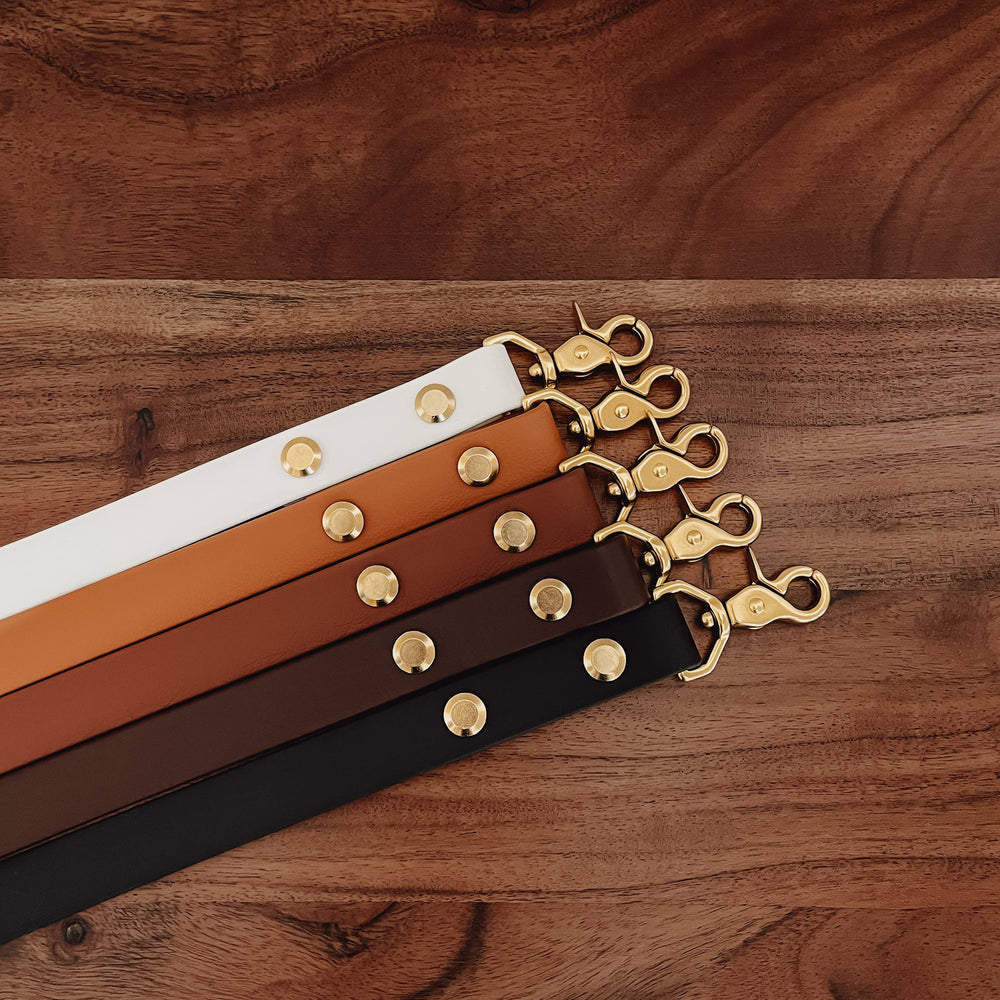 Straight standard waterproof Biothane dog leashes shown in white, sienna, two dark brown shades, and black, each with solid brass hardware.
