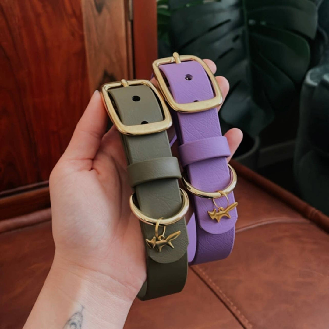 Hand holding two modern waterproof dog collars in sage and lavender Biothane with solid brass hardware, against a neutral background.