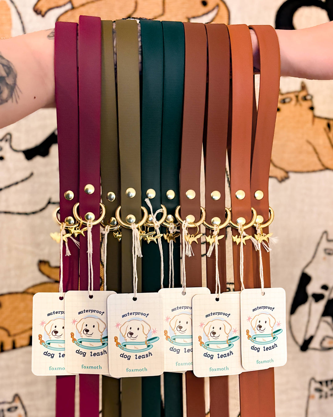 Person holding out their arm with several modern waterproof Biothane dog leashes in multiple colors, all with solid brass hardware, hanging together.