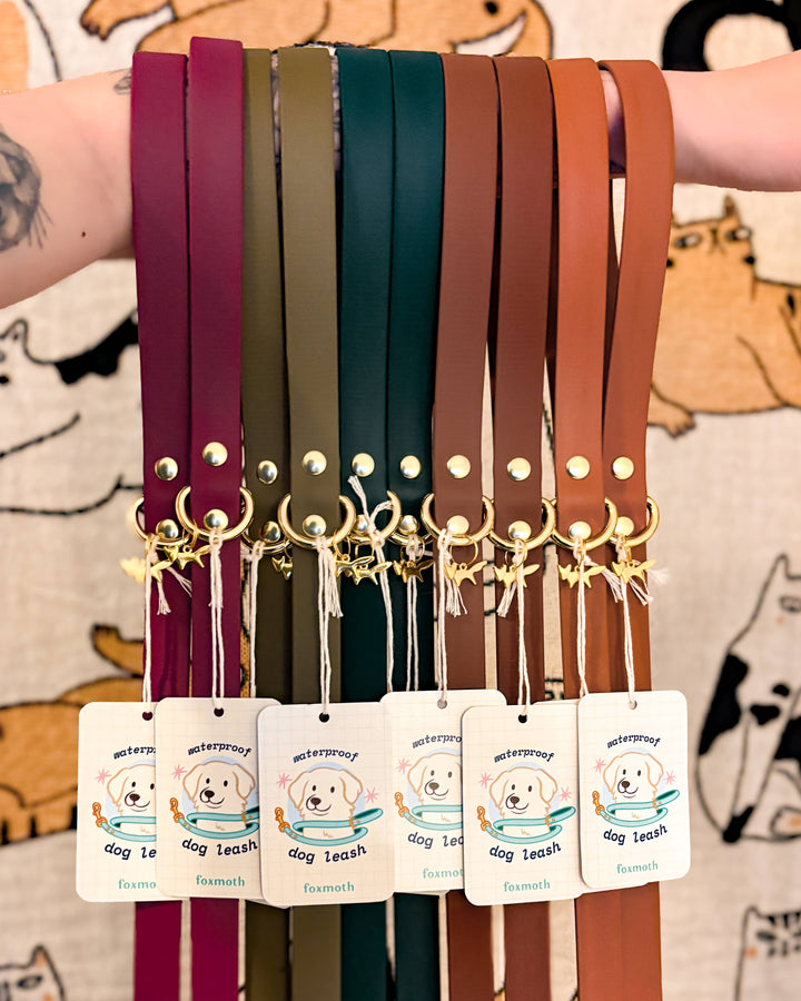 Person holding out their arm with several modern waterproof Biothane dog leashes in multiple colors, all with solid brass hardware, hanging together.