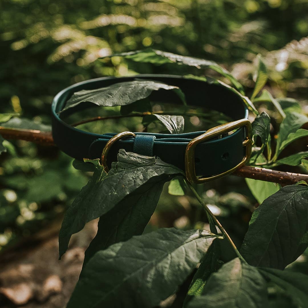 Modern waterproof green Biothane dog collar with solid brass hardware, displayed over trees and plants in a natural outdoor setting.