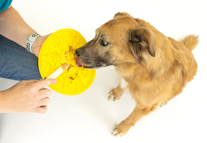 Dog licking peanut butter off a ZoomieRex EverLick Mat held by owner, interactive lick mat for dogs