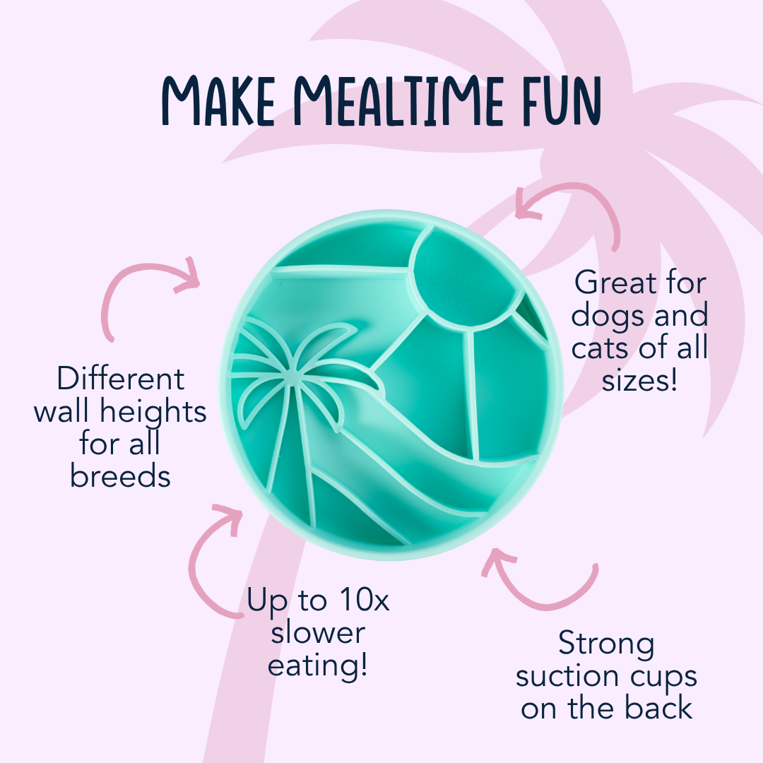 Loco Coco Interactive Slow Feeder Bowl – Dog Food Bowl with Suction, Silicone, BPA-Free