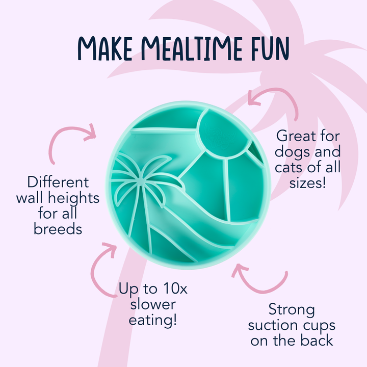 Loco Coco Interactive Slow Feeder Bowl – Dog Food Bowl with Suction, Silicone, BPA-Free