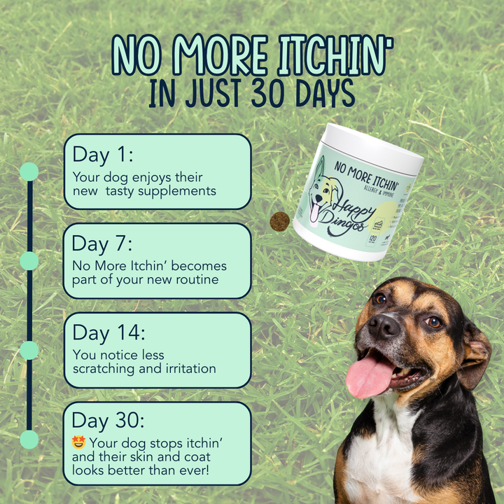 No More Itchin' - Allergy & Immune Supplement - 120 Chews