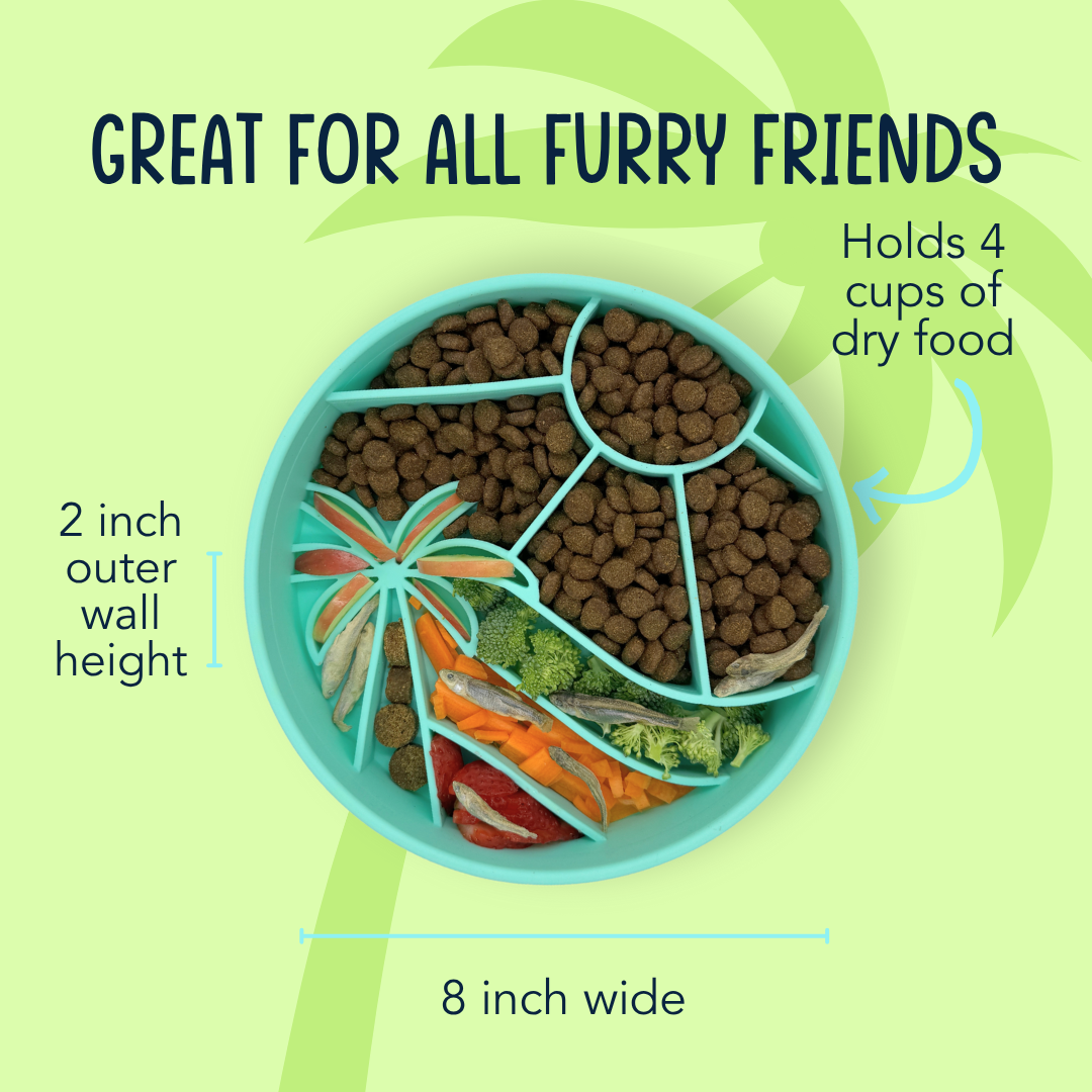 Loco Coco Interactive Slow Feeder Bowl – Dog Food Bowl with Suction, Silicone, BPA-Free