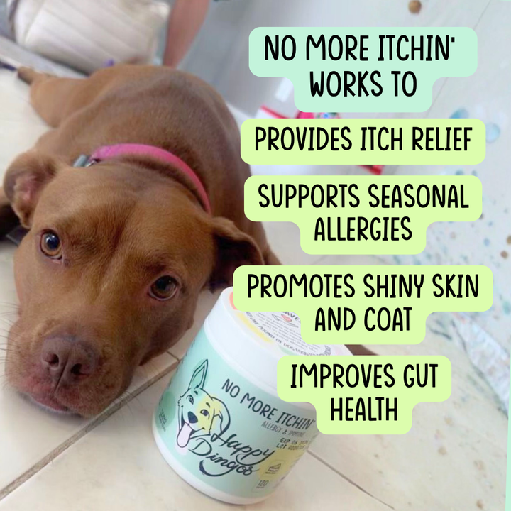 No More Itchin' - Allergy & Immune Supplement - 120 Chews