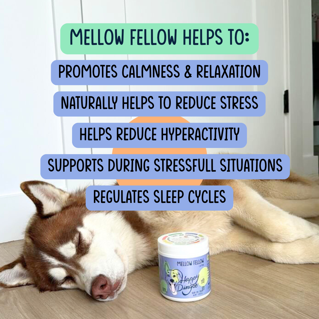 Mellow Fellow - Calming Supplement for Dogs - 120 Chew