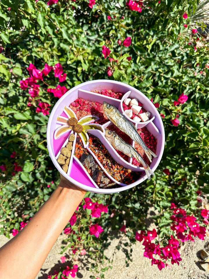 Loco Coco Interactive Slow Feeder Bowl – Dog Food Bowl with Suction, Silicone, BPA-Free