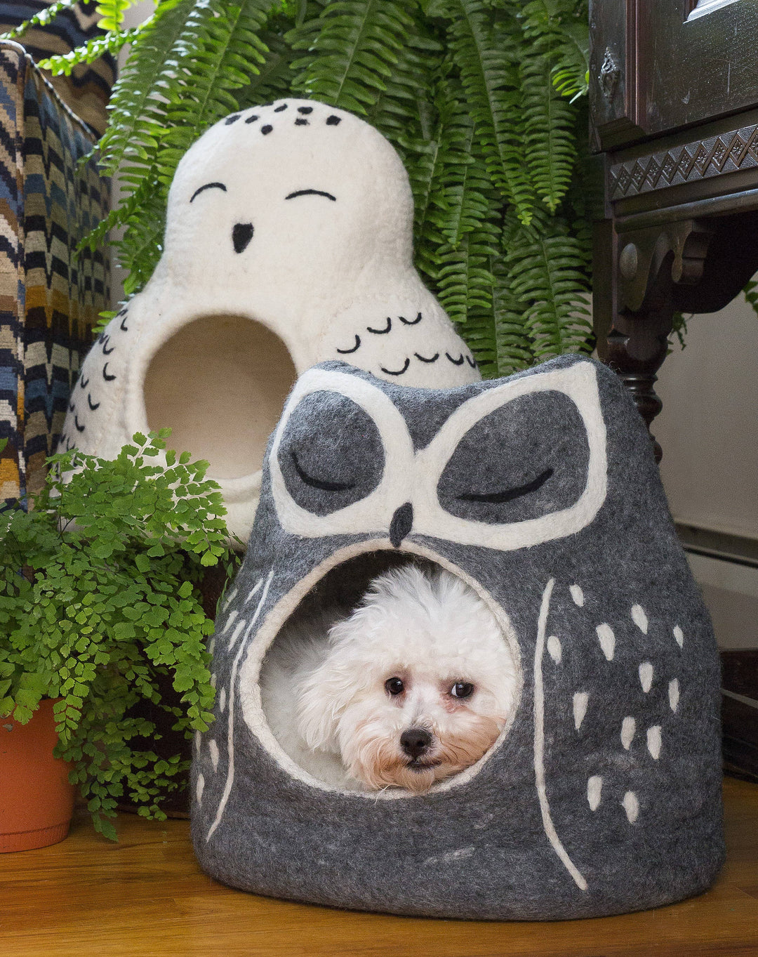 white and grey owl cave with a white dog inside the grey one