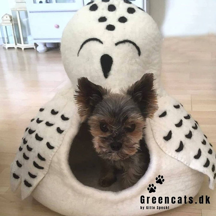 Small dog inside white owl cave