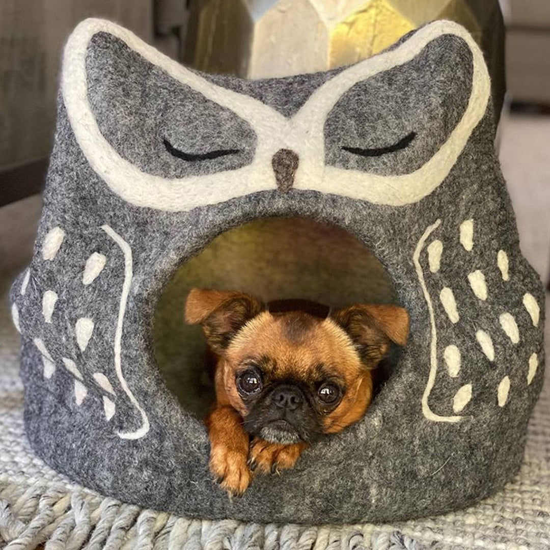 Grey owl cave with small brown dog inside