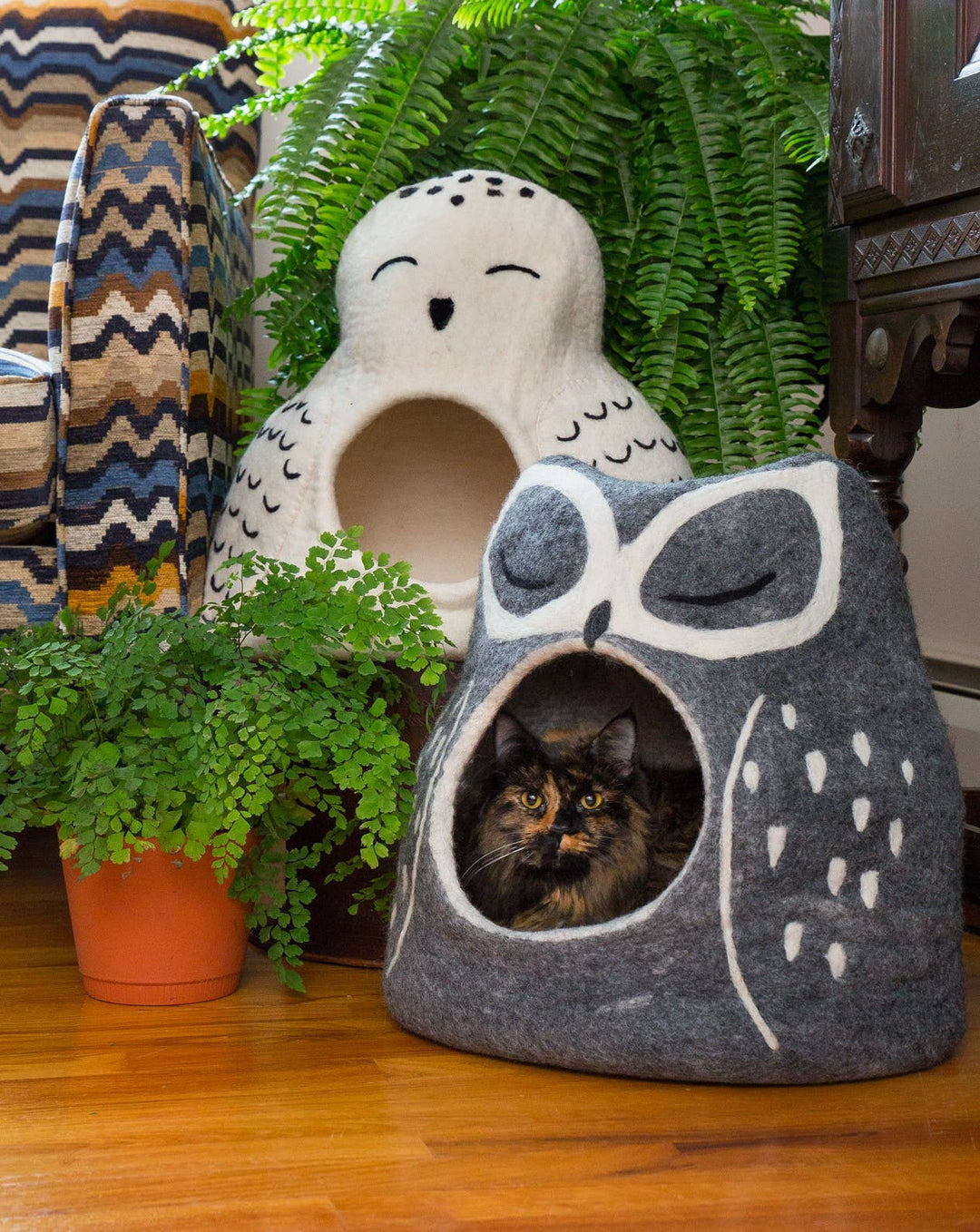 Owl in cave in white and grey in a room with a cat inside the grey one.